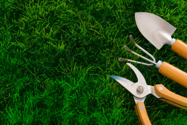 outils de jardinage avec un manche en bois composés de sécateur à main, râteau trois branches et petite pelle à main posés sur du gazon ou pelouse