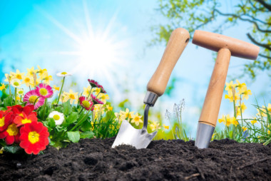 outils de jardinage avec des plantes fleuries et le soleil qui brille dans le ciel bleu