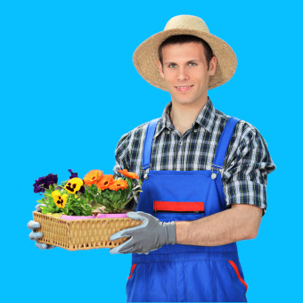 jardinier avec un panier en osier dans les mains remplie de fleurs